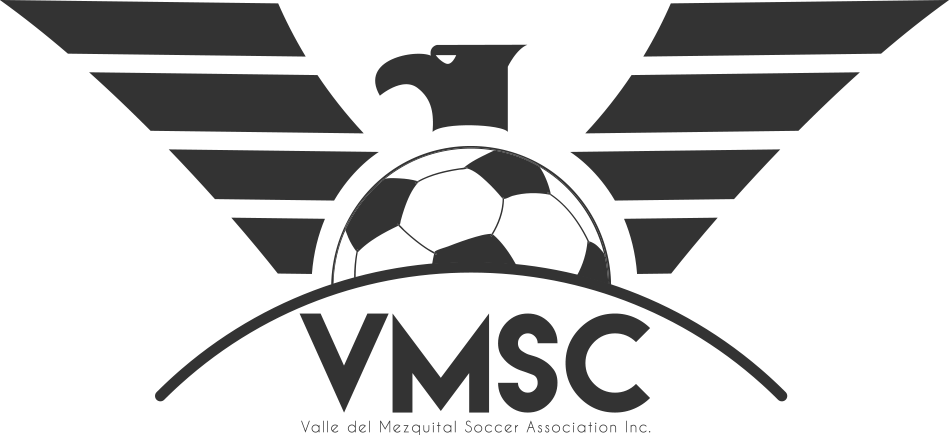 VMSC